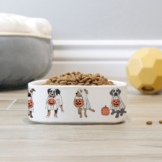 Trick or Treat Pet Bowl