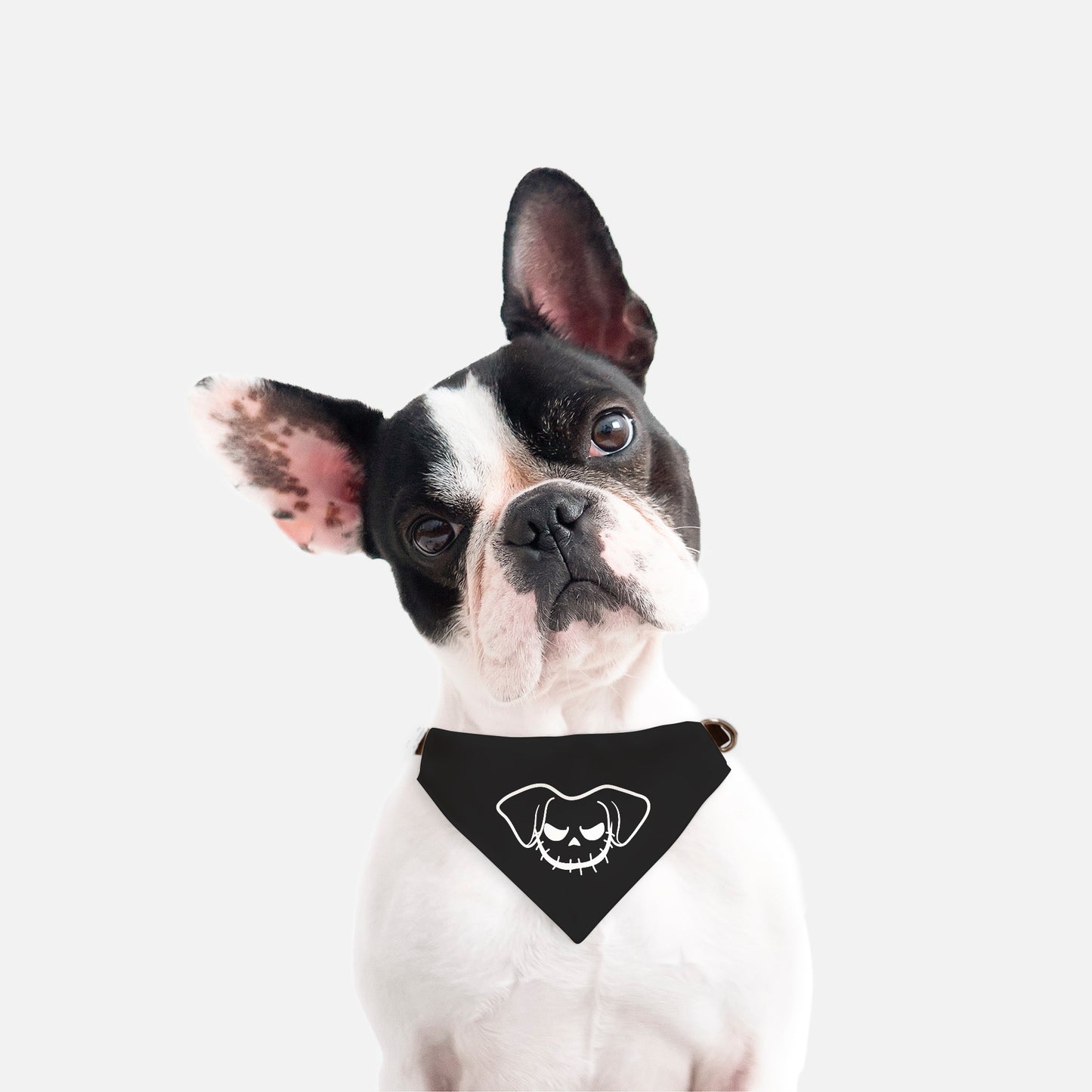 Jack O Pup Naughty Collar Pet Bandana (Sm & Med)