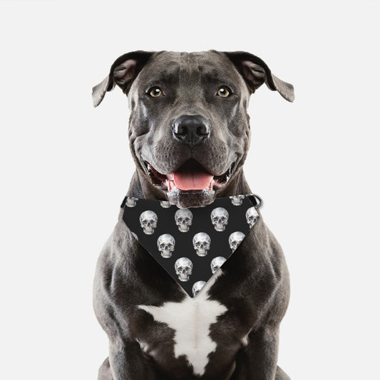 Skull Collar Pet Bandana Blk (LG & XL)