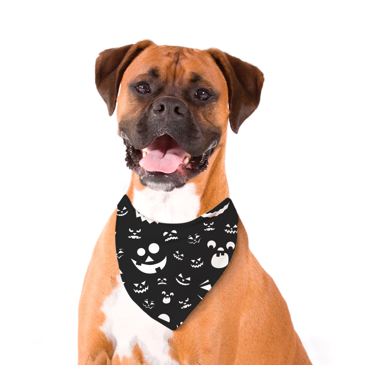 Pumpkin Face Pet Bandana Wht