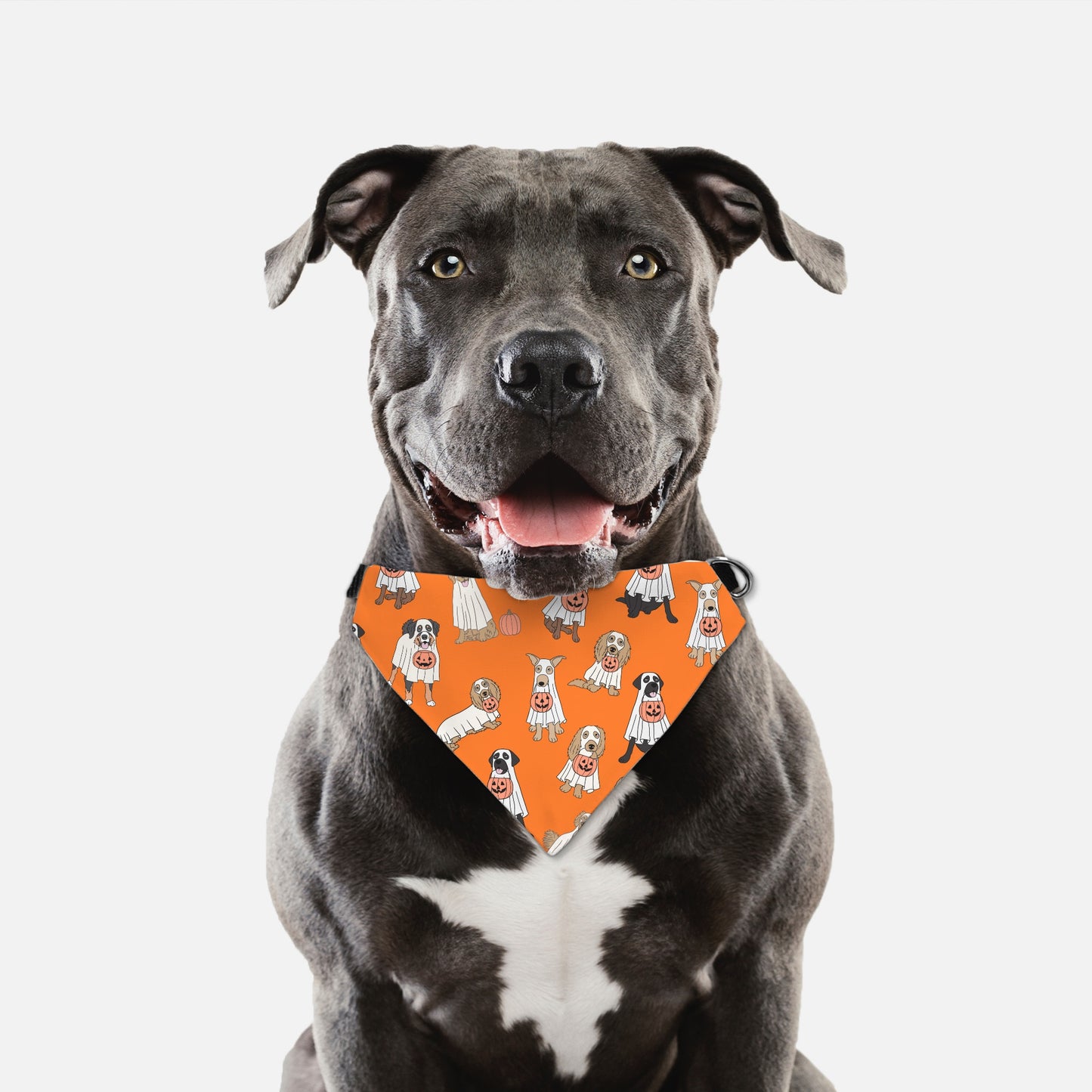 Ghost Dog Collar Pet Bandana Org (LG & XL)