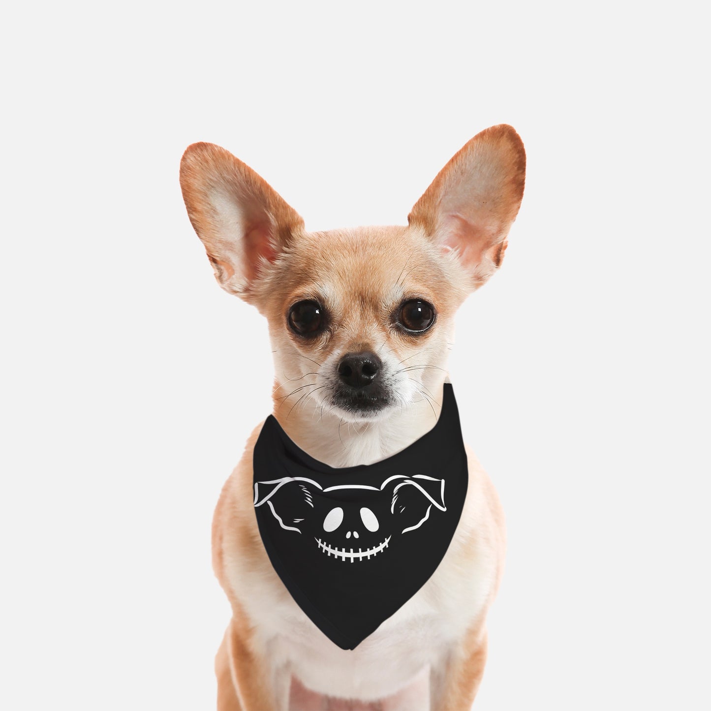 Jack O Pup Nice Small Breed Pet Bandana