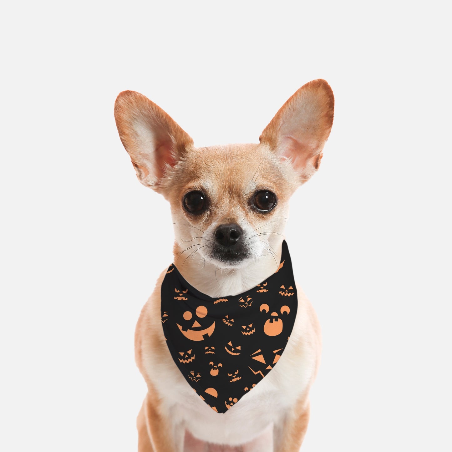 Pumpkin Face Small Breed Pet Bandana Org