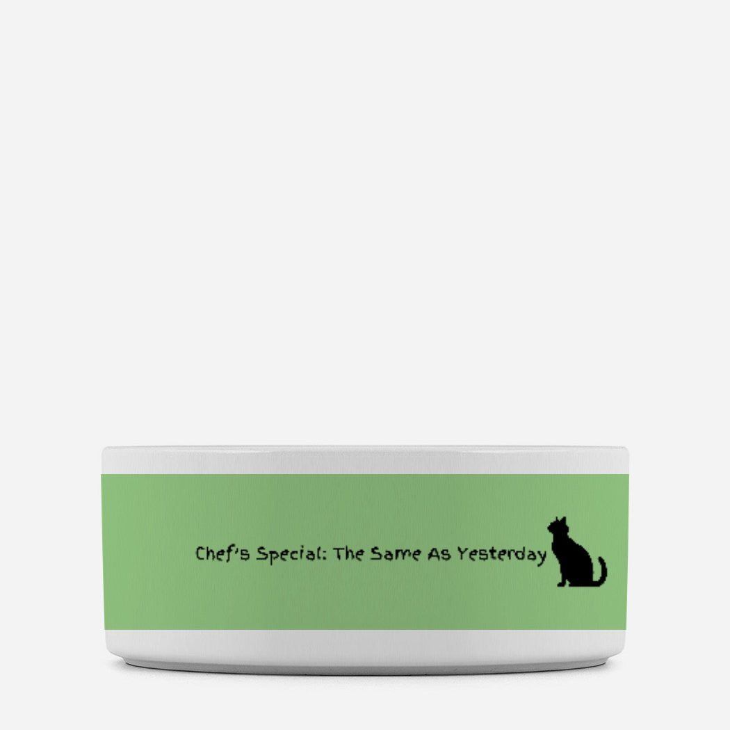 Chef Special Cat Pet Bowl Green