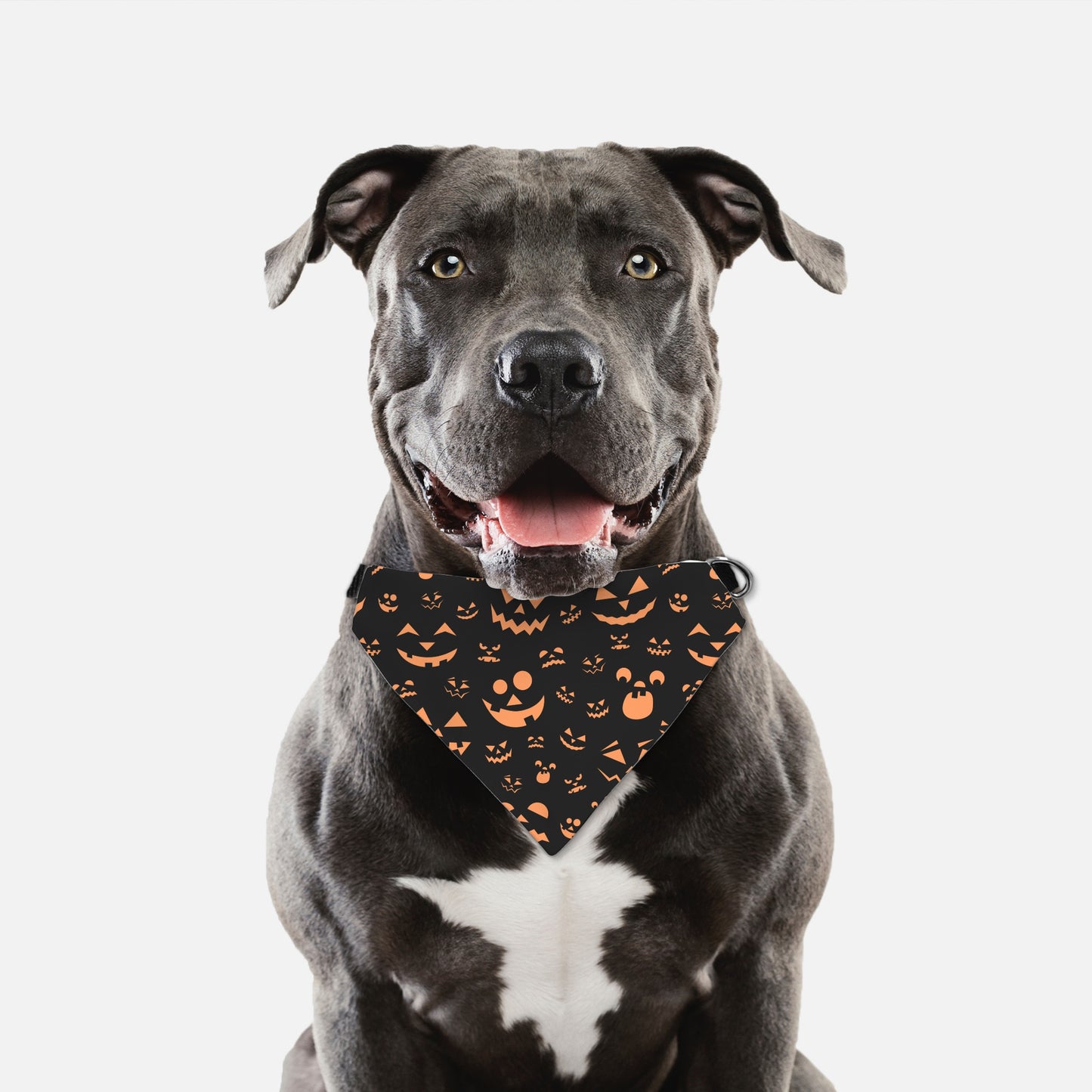 Pumpkin Face Collar Pet Bandana Org (LG & XL)