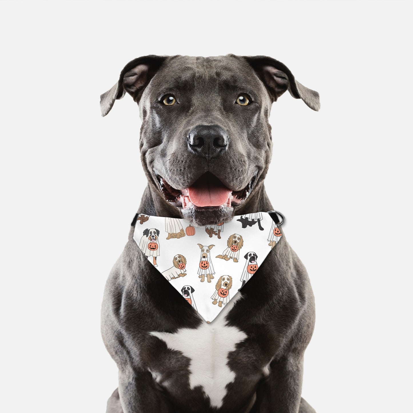 Ghost Dog Collar Pet Bandana Wht (LG & XL)