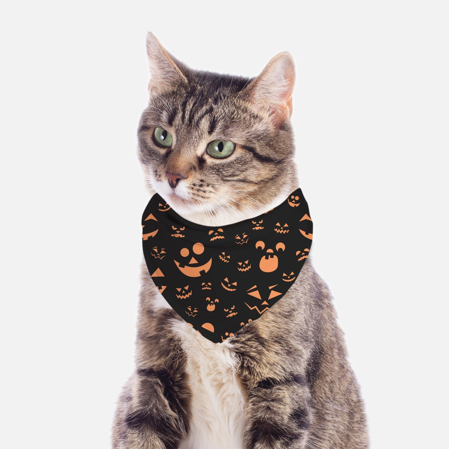 Pumpkin Face Small Breed Pet Bandana Org