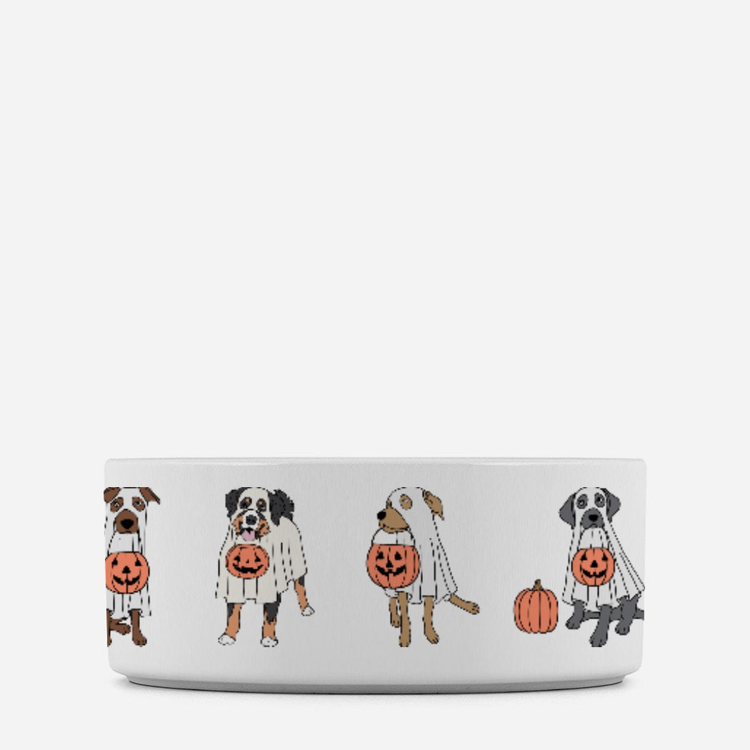 Trick or Treat Pet Bowl