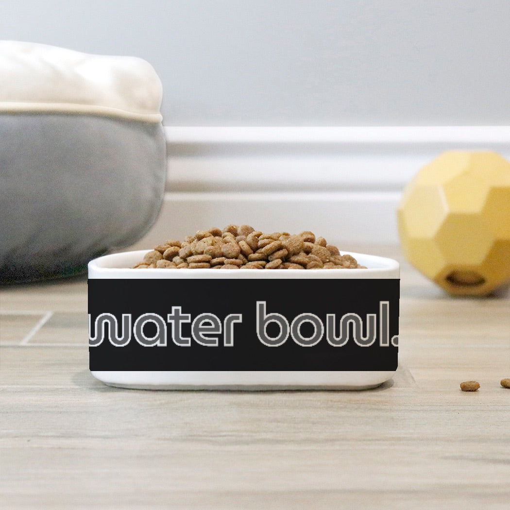 Water Gray Pet Bowl