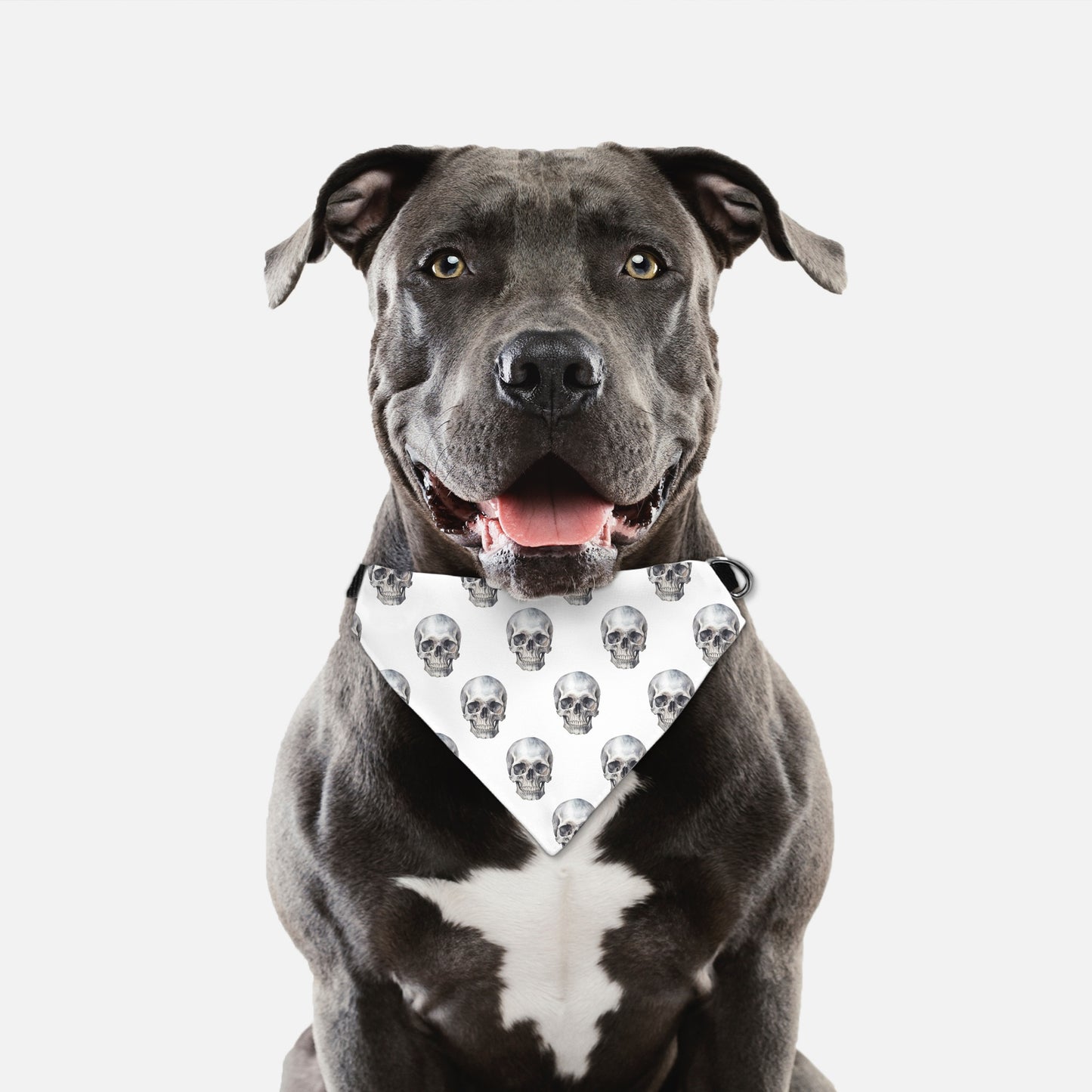 Skull Collar Pet Bandana Wht (LG & XL)