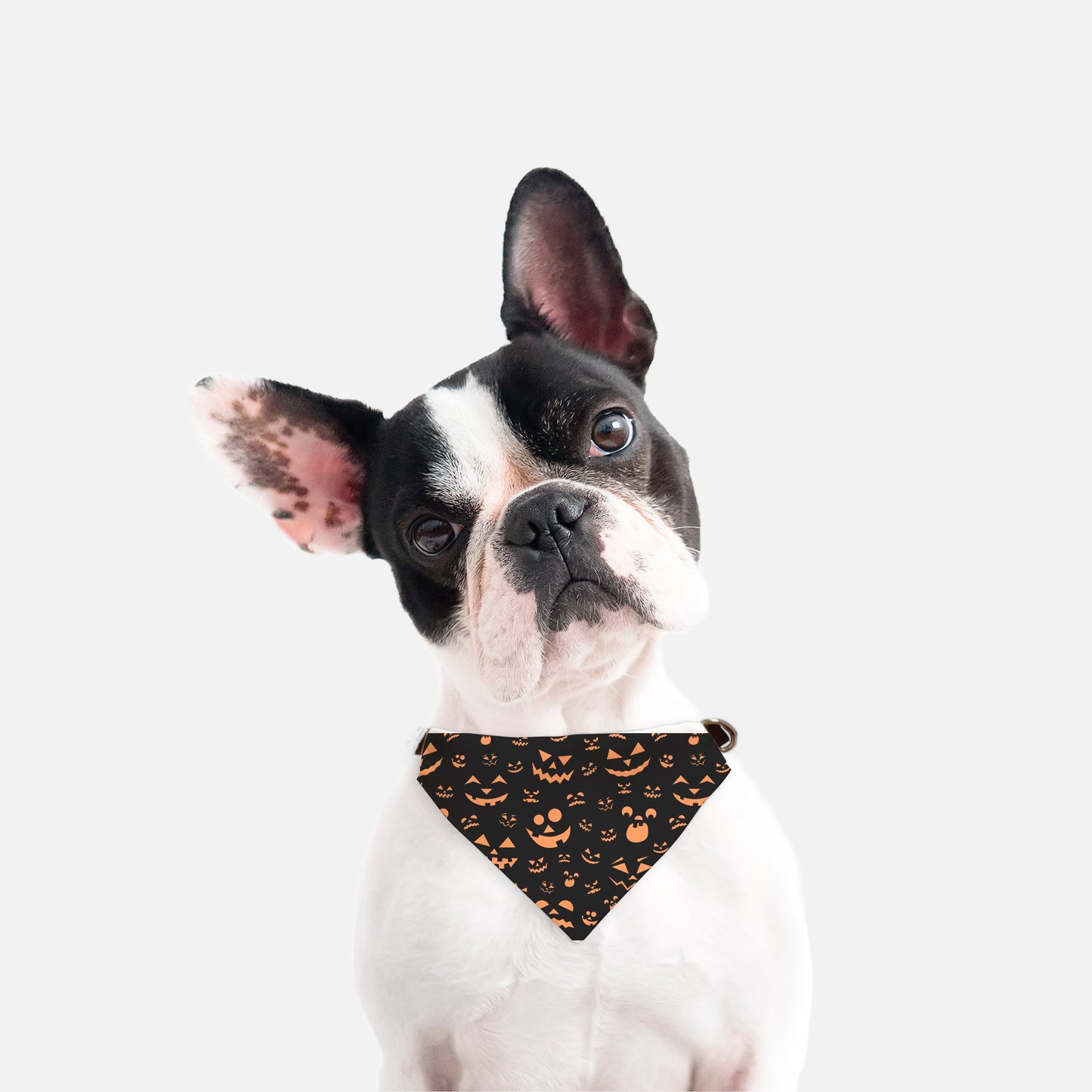 Pumpkin Face Collar Pet Bandana Org (Sm & Med)