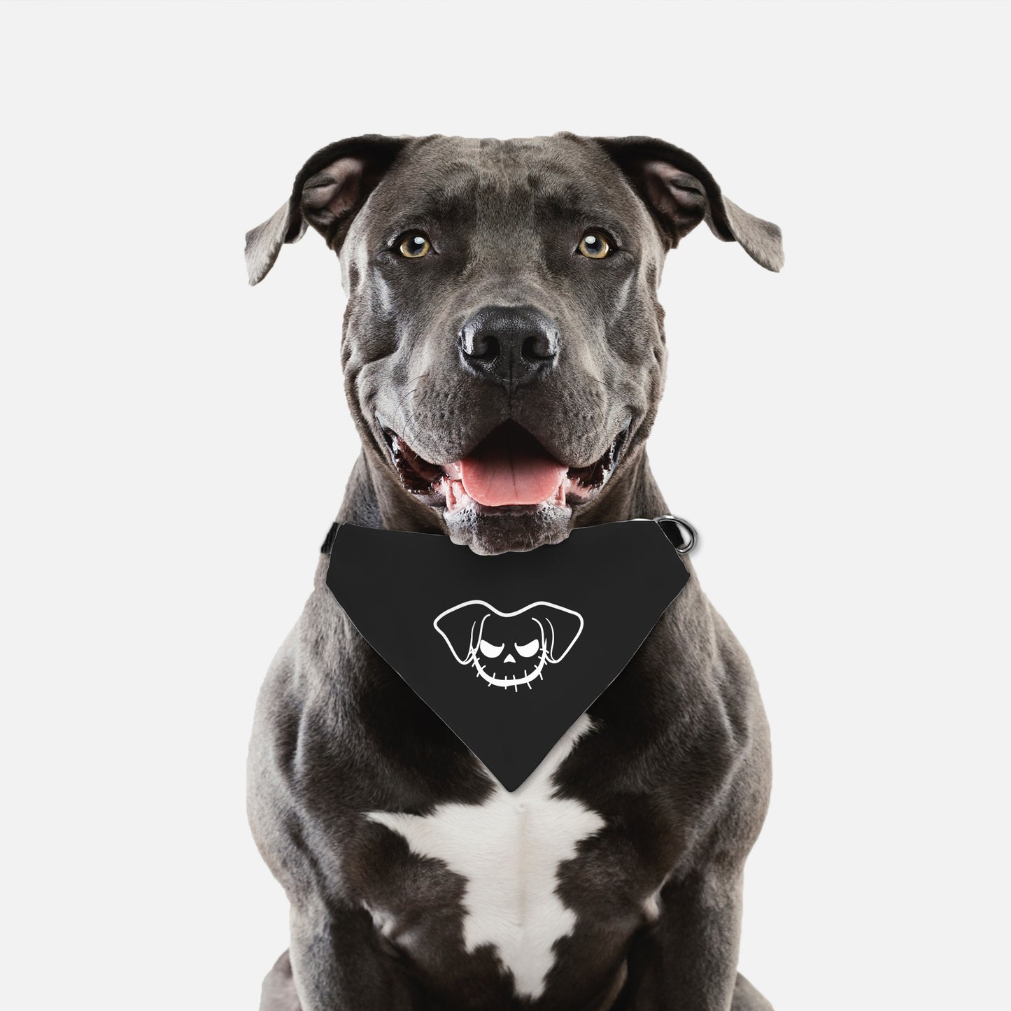 Jack O Pup Naughty Collar Pet Bandana (LG & XL)