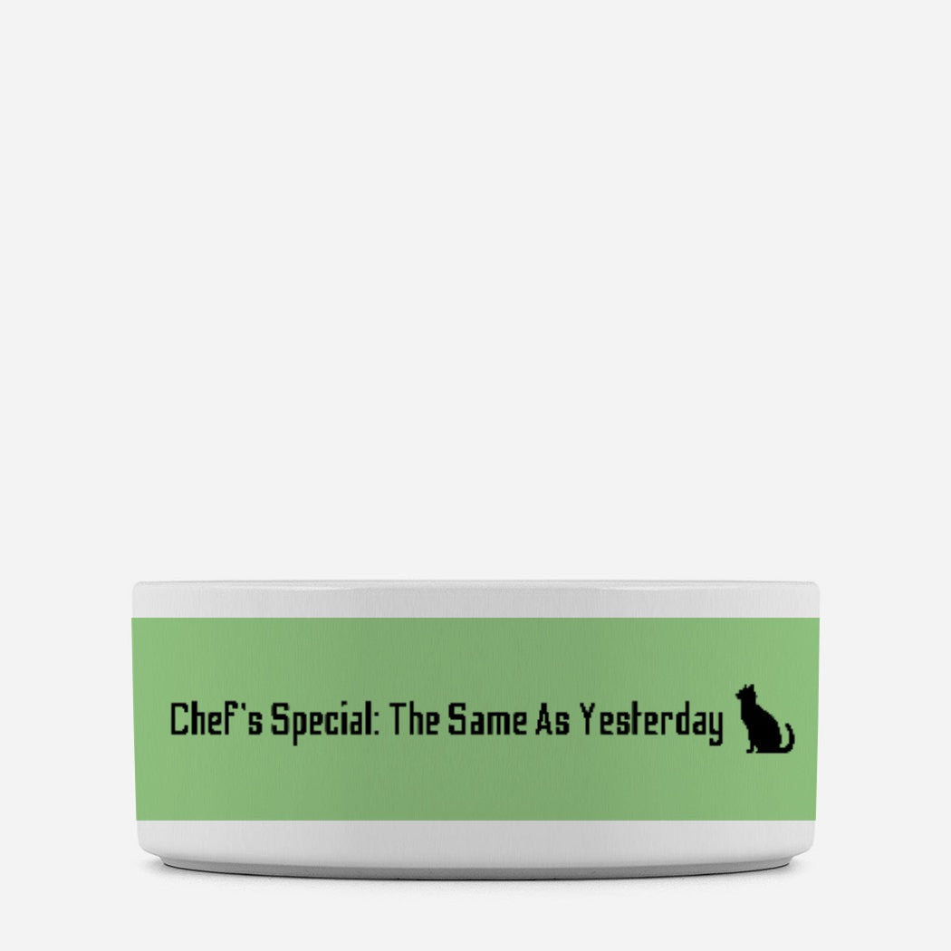 Chef’s Special Cat Pet Bowl Green