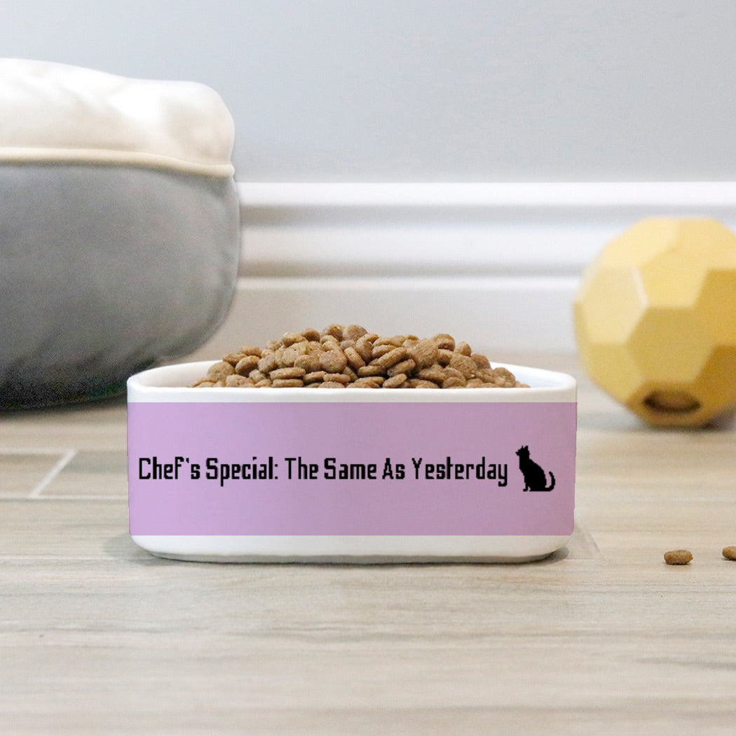 Chef’s Special Cat Pet Bowl Purple