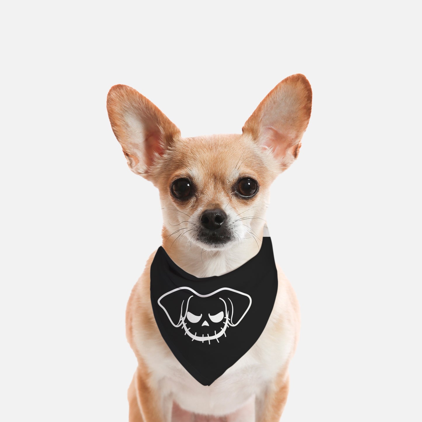 Jack O Pup Naughty Small Breed Pet Bandana