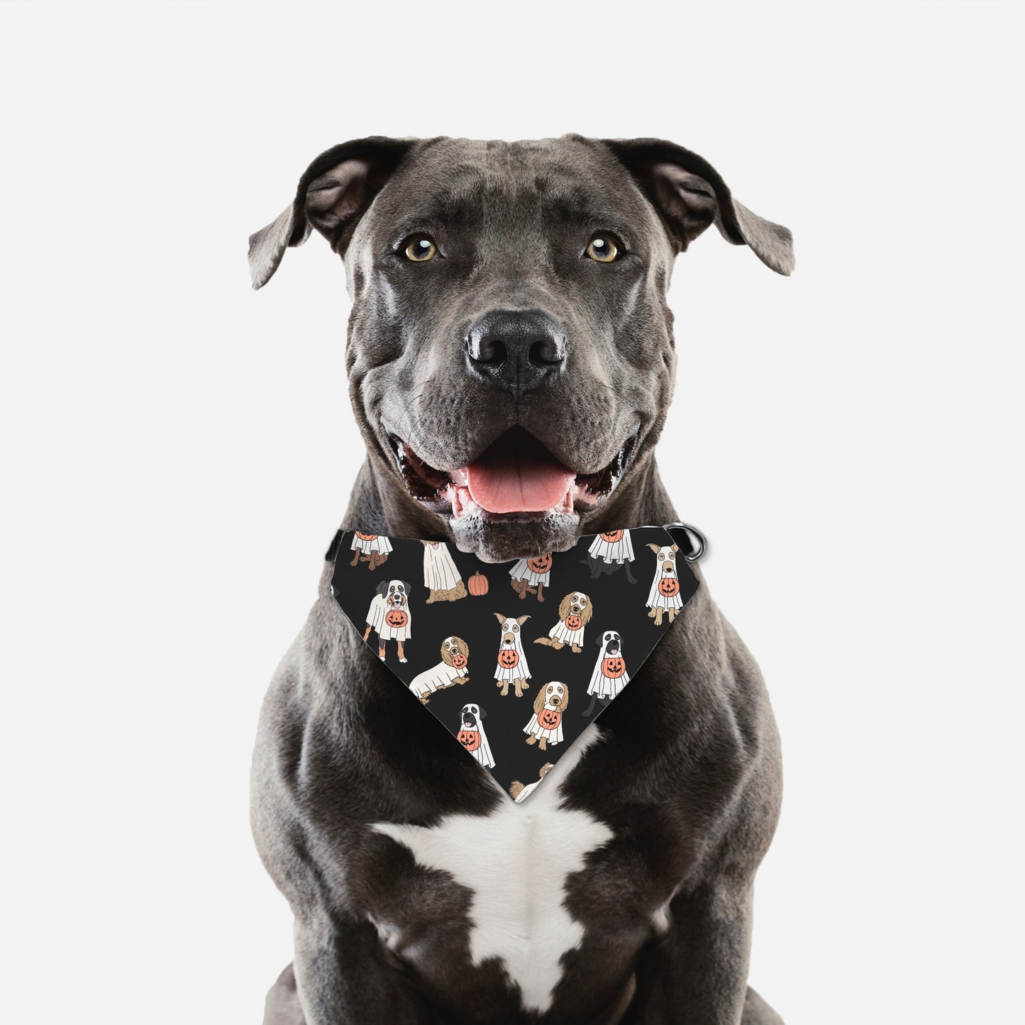 Ghost Dog Collar Pet Bandana Blk (LG & XL)