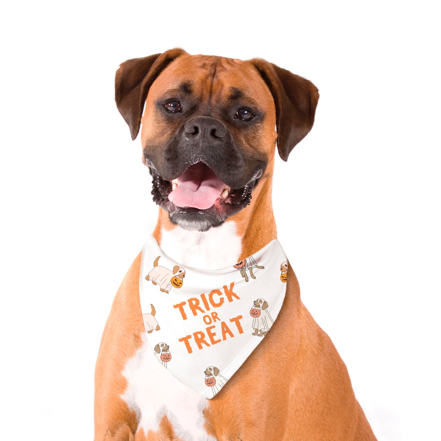 Trick or Treat Pet Bandana Wht