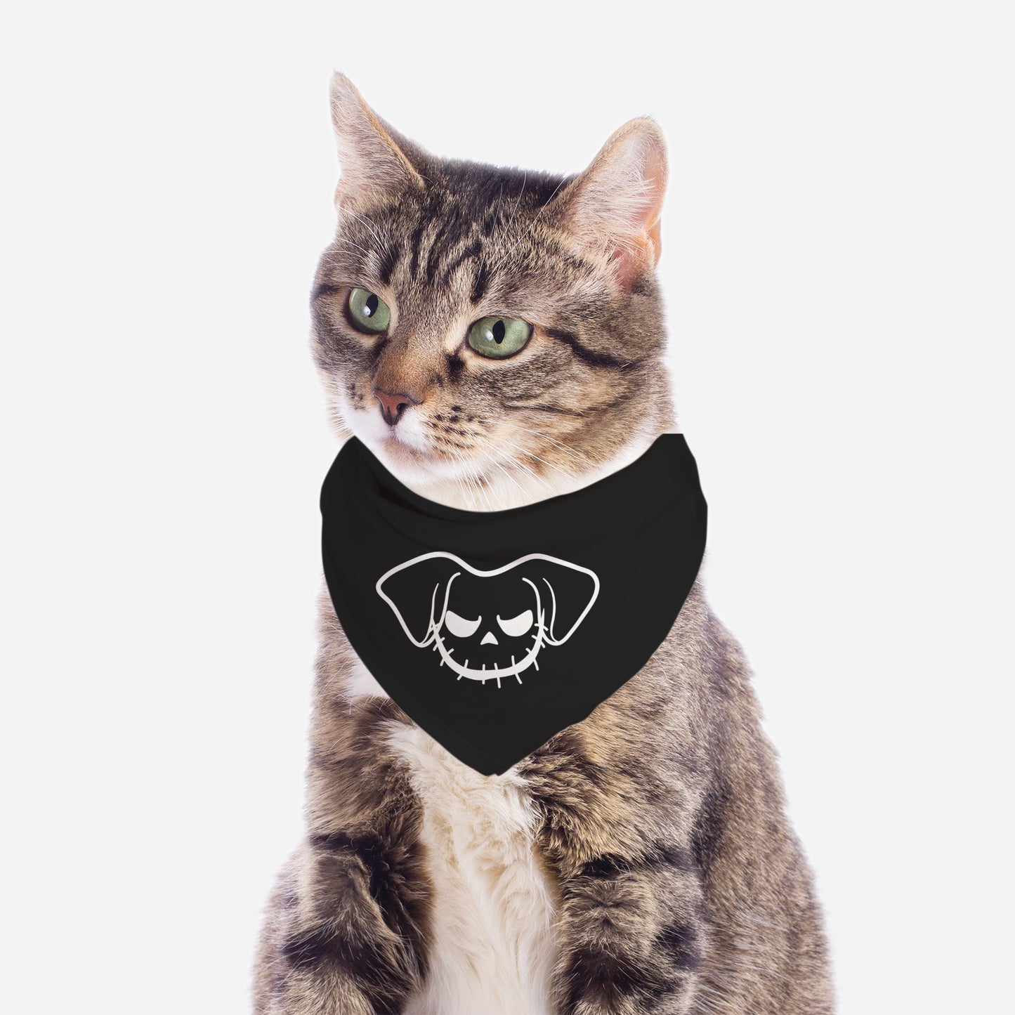 Jack O Pup Naughty Small Breed Pet Bandana