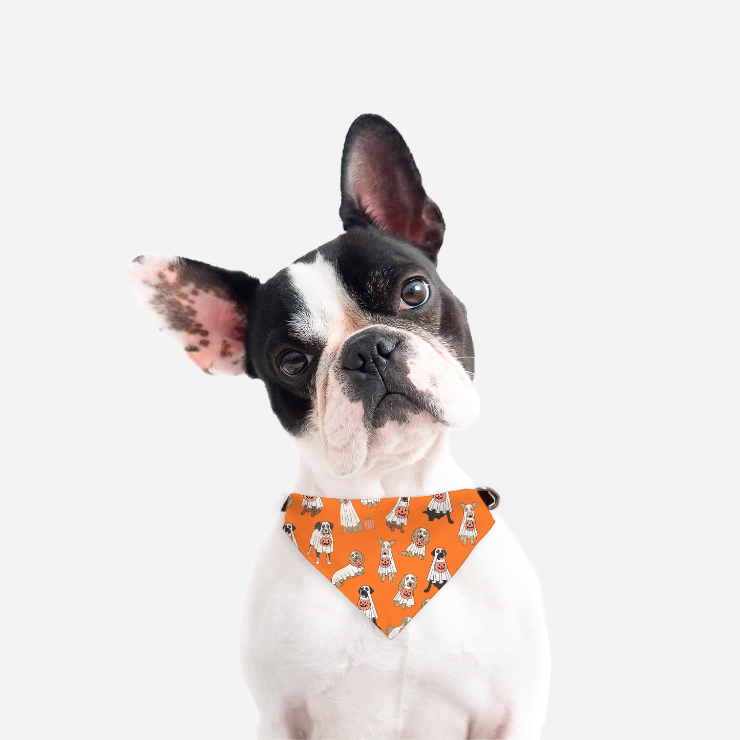 Ghost Dog Collar Pet Bandana Org (Sm & Med)