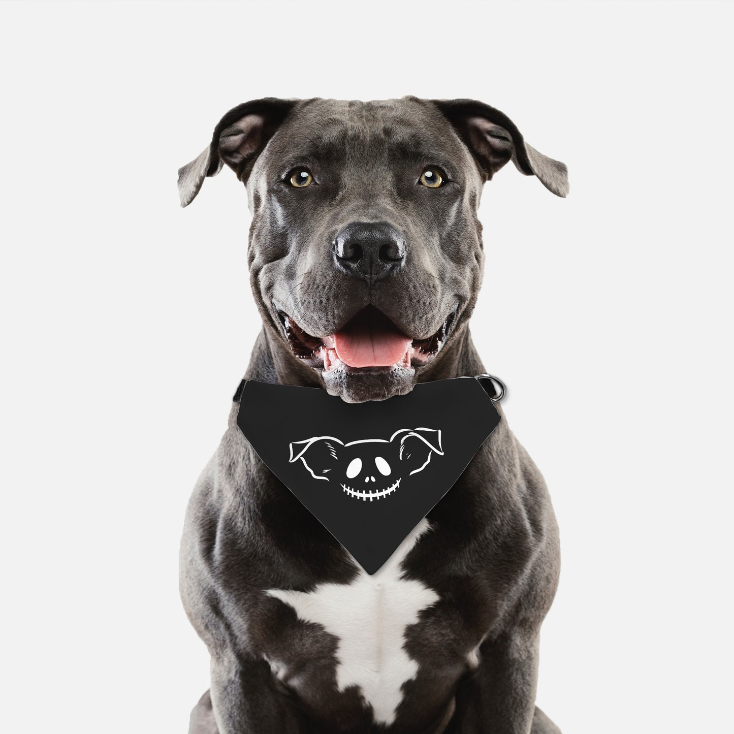 Jack O Pup Nice Collar Pet Bandana (LG & XL)